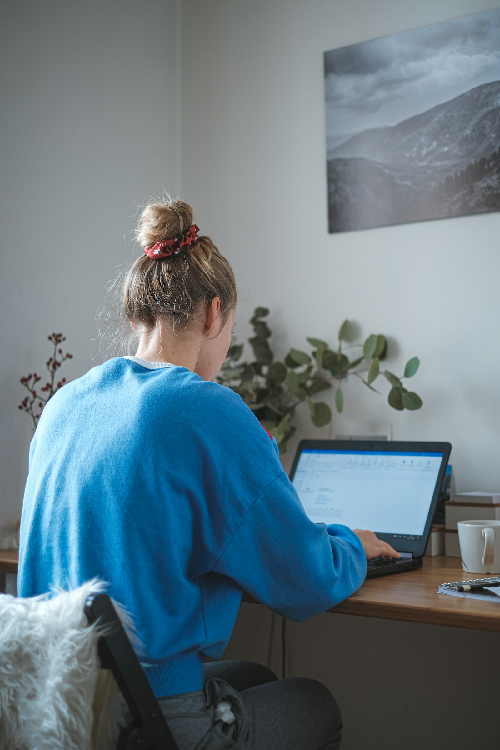 Working from home with Stevai