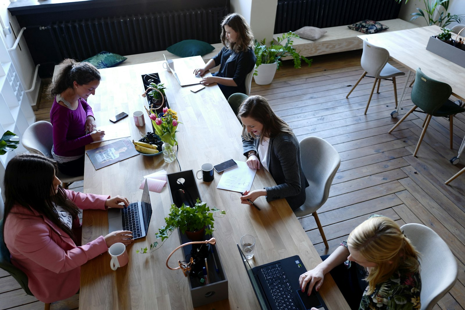 A team collaborating with Stevai